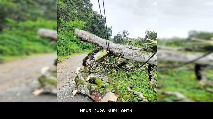 Longsor kembali terjadi di Putri Betung, Jalur Blangkejeren-Kutacane lumpuh total