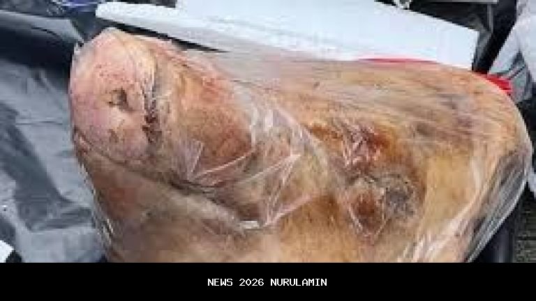 Viral warung makan Makassar dapat teror bangkai kepala kambing