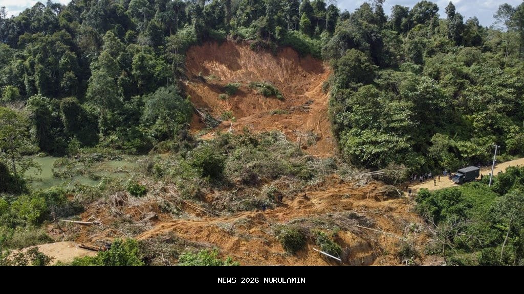 Bencana Sumatera, Dr Tifa Sebut Akibat Keserakahan Pemerintah Jokowi