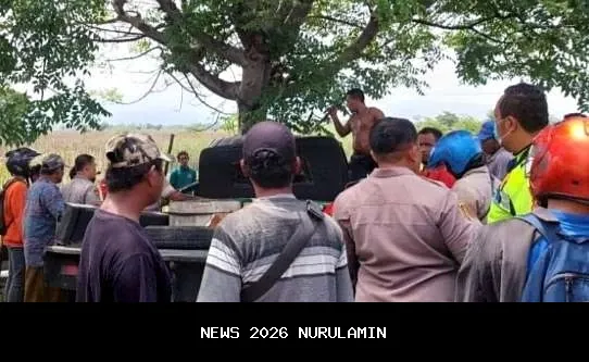 Maut di Tikungan Hiripau: Pikap Tabrak Pohon, Satu Tewas Terjepit