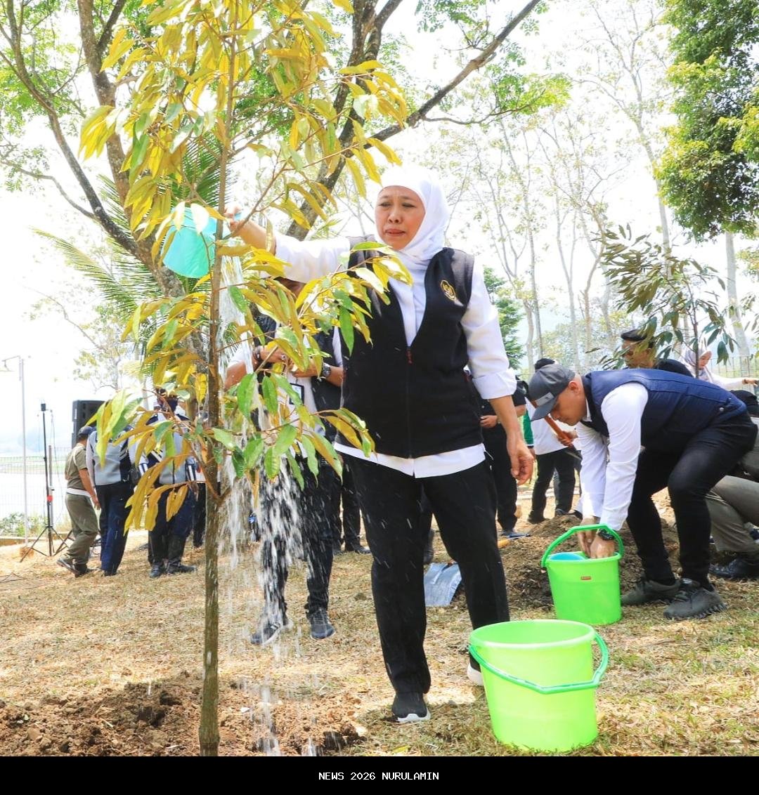 Gubernur Khofifah Tanam 5.000 Pohon di Lumajang, Beri Alat Produksi untuk Petani Hutan