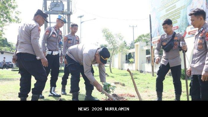 Polda Lampung Hentikan Penyelidikan Kayu Terdampar di Pesisir Barat