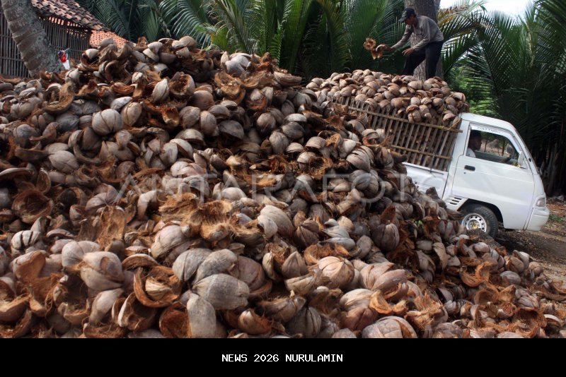 Bahan Bakar Alternatif Bobibos Jadi Prioritas Produksi Massal di Timor Leste