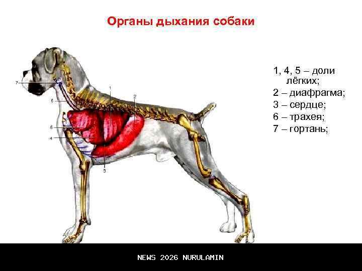 5 Amalan Bulan Rajab, Ini Penjelasan Gus Baha