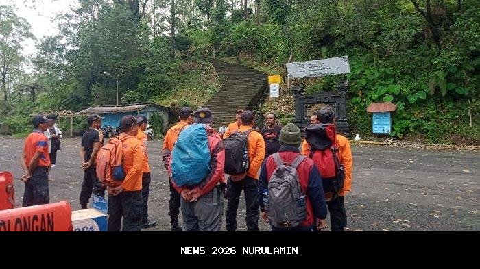 225 WNA Heboh di Bali Tahun 2025, Mayoritas dari Inggris