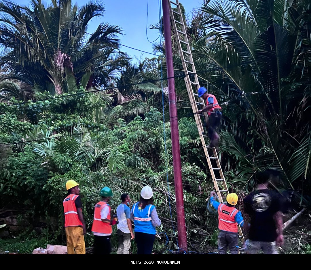 Jalur Listrik Langsa-Pangkalan Brandan Jadi Kunci Pemulihan Kelistrikan Aceh, PLN Perbaiki 24 Jam