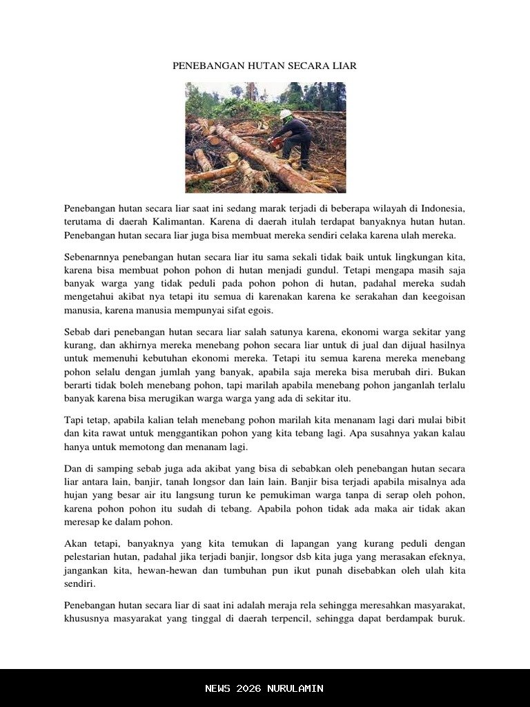 DPR Minta Tindakan Tegas Atas Maraknya Penebangan Liar di Kalbar