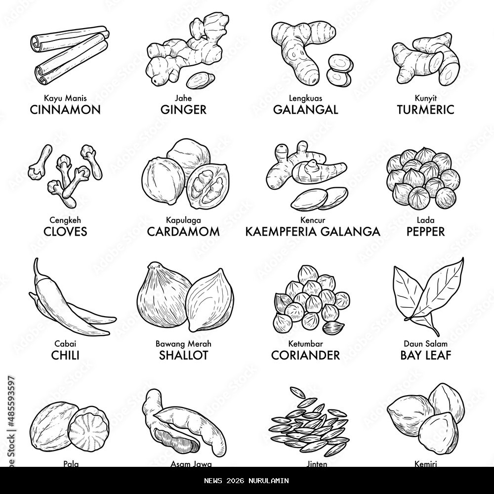 Ketumbar, Jahe, dan Kunyit: Rahasia Lancarkan Haid