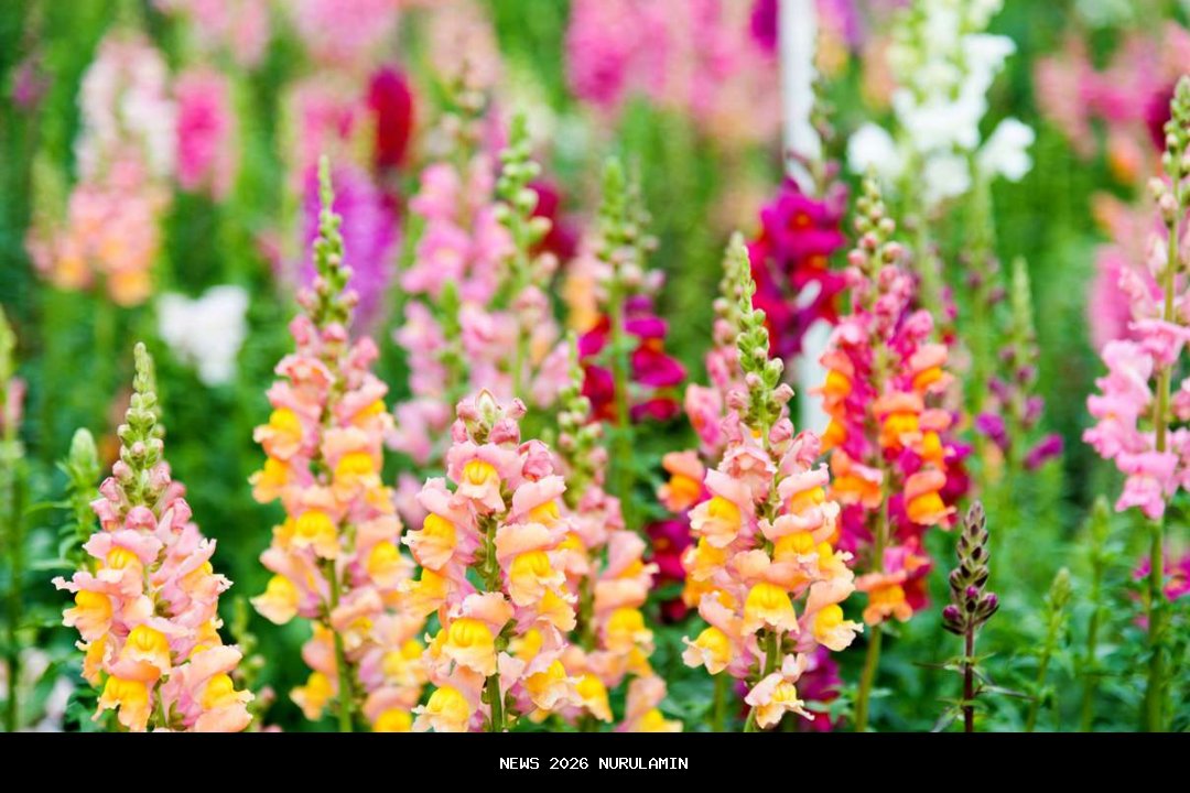 Snapdragon 8155 Membuat LEPAS L8 Lebih Cepat, Nyaman, dan Elegan