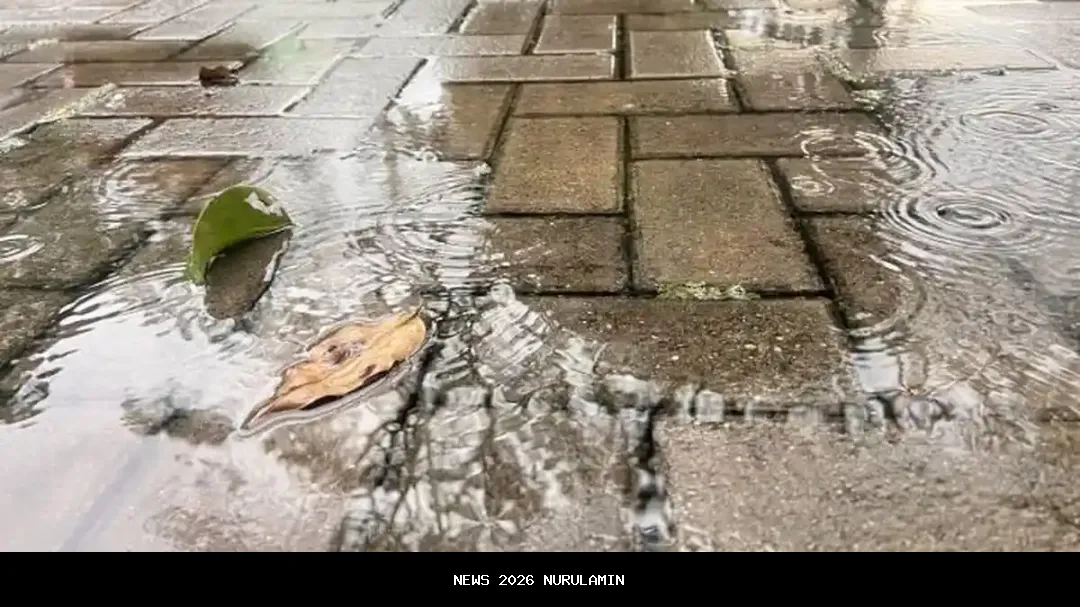 Cuaca Bogor Hari Ini: Hujan Ringan Pagi Sampai Malam