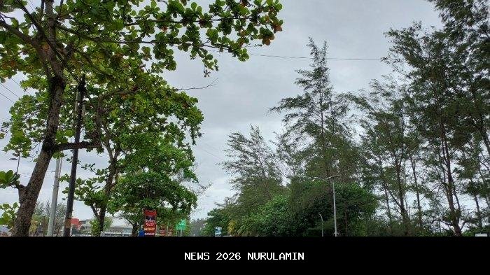 Berawan, ini prakiraan cuaca Bengkulu Tengah 3 Januari 2026