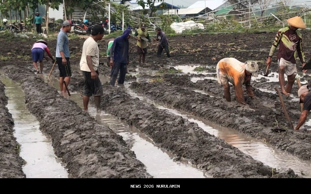 Pembenahan Pasar Andi Tadda Dijanjikan Tahun Depan