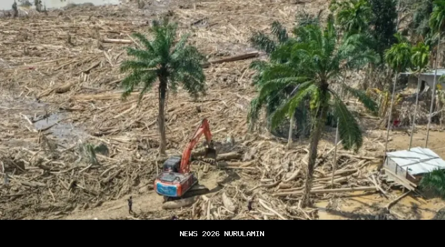 Kapolri Umumkan Tersangka Pembalakan Liar di Sumut