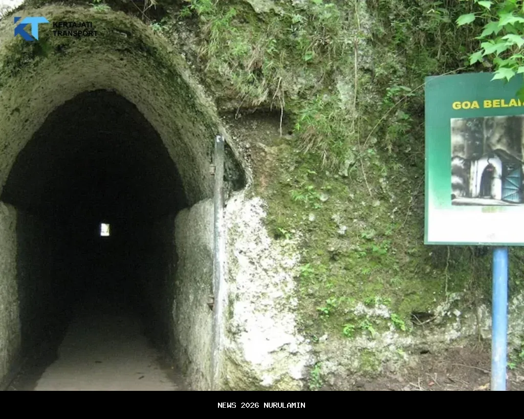 Bupati Kang DS Dukung Usulan Konversi Hutan Bandung Jadi Tahura