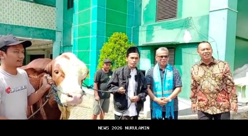 PW Muhammadiyah Jatim Kirim 8 Ton Bantuan ke Langkat dan Aceh Tamiang
