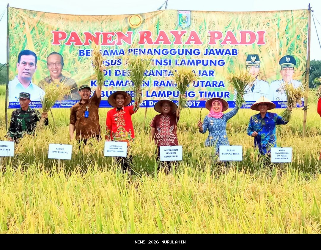 LTT Padi Amis Indramayu Percepat Produksi Pertanian