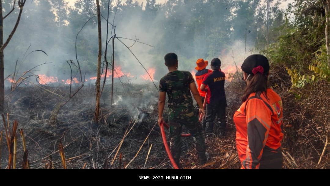 Kebakaran di kantor Terra Drone, 22 karyawan tewas akibat baterai jatuh