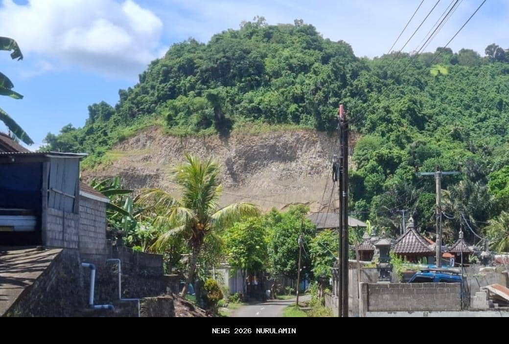Aktivitas Pengerukan Bukit di Dawan Bali Dihentikan Satpol PP