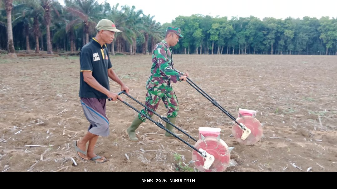 Tingkatkan Ketahanan Pangan, Wakapolri dan Kemenko Pangan Tanam Jagung di Lampung Selatan