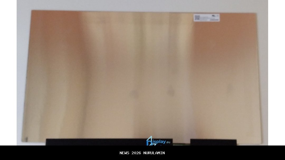 ASUS Vivobook Go 15 E1504: Laptop Ringkas, Kuat, dan Hemat untuk Generasi Produktif