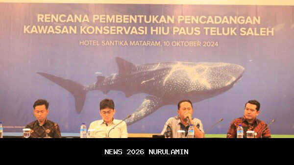 Penemuan Langka Bayi Hiu Paus di Teluk Saleh, Harapan Baru Konservasi Laut NTB