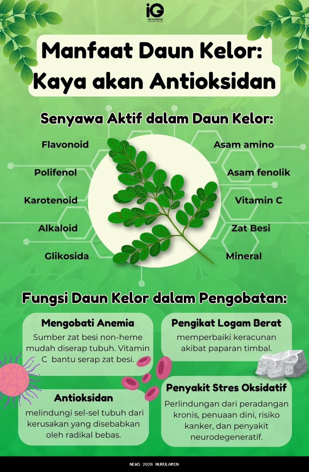 Manfaat Brokoli untuk Kesehatan Tubuh