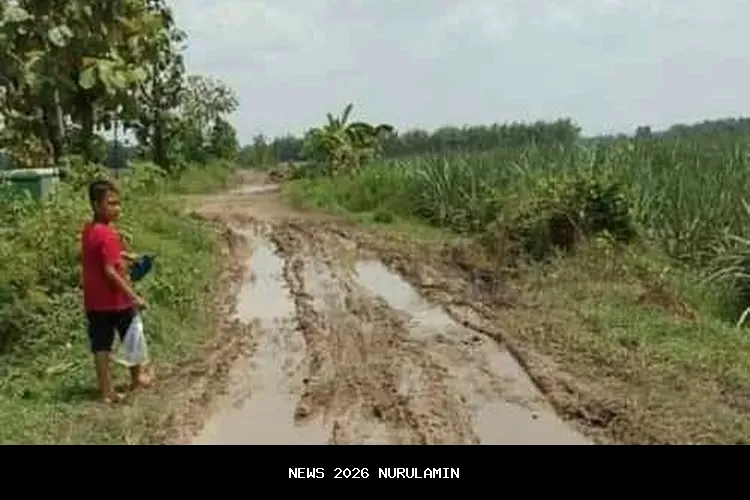 Jalan Poros di Brebes Ruas Bangbayang-Cilinduk amblas, ratusan warga terancam terisolasi
