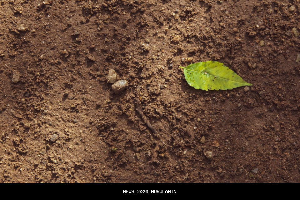Tanah Bumbu Jadi Tren Digital, Raih Peringkat Nasional 3 Implementasi Alat Diagnostik