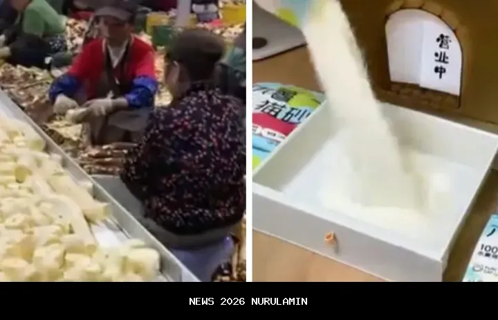 Singkong Jadi Pasir Kucing Ramah Lingkungan, Inovasi Tiongkok Unik