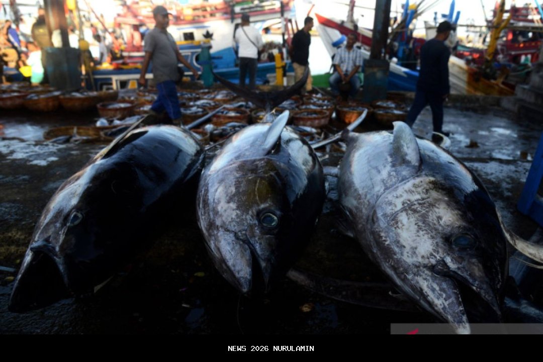 Pembahasan Kenaikan Gaji ASN 2026, Menkeu: Perhatikan Kondisi Keuangan Negara Kuartal I