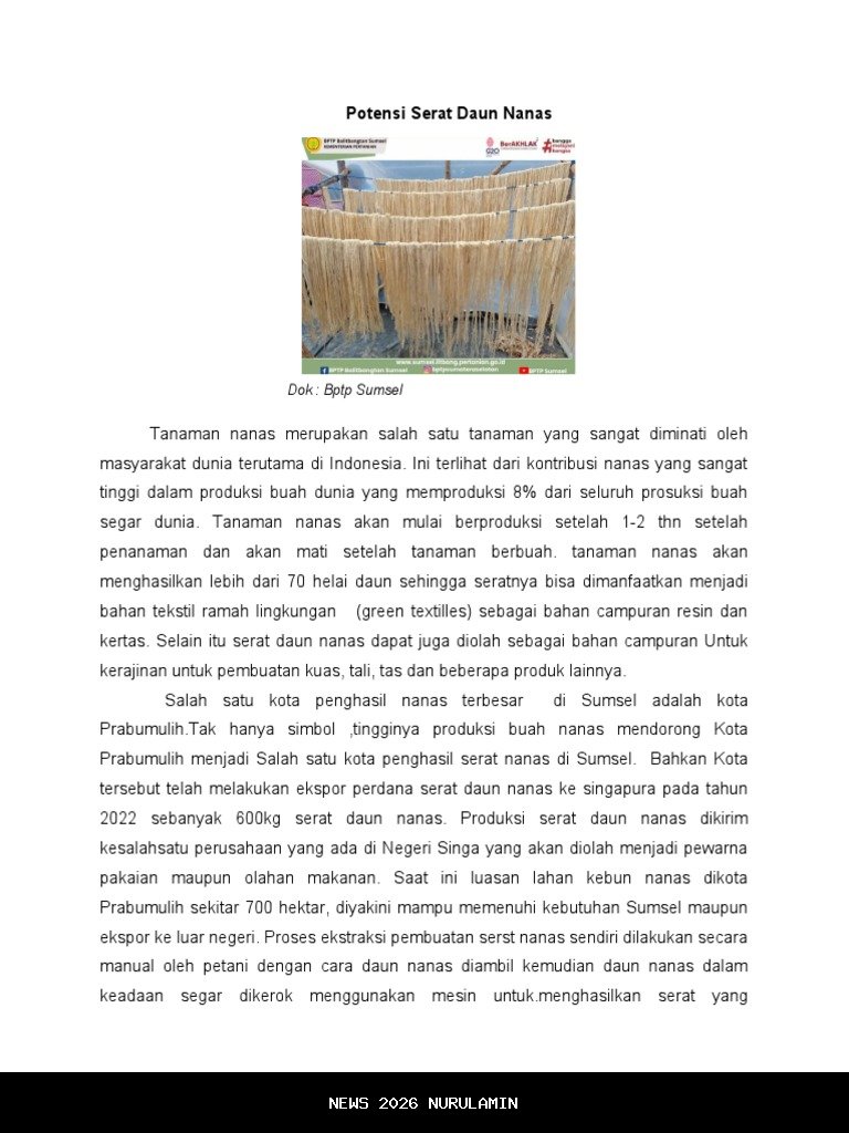 Dari nanas hingga rami, berlimpah potensi serat dan pewarna alami pakaian di Indonesia