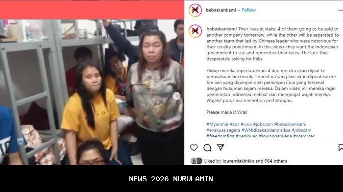 Status 9 WNI Korban TPPO yang Dipulangkan Polri: Jadi Penipu hingga Admin Judi di Kamboja