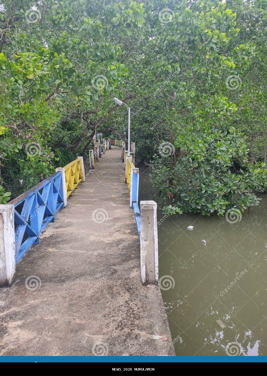 Fakta Viral Pembabatan Mangrove di Kendari, Gubernur Sulawesi Tenggara Angkat Bicara