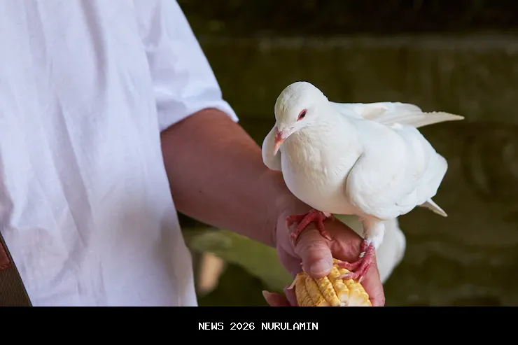 Krisis Langit Eropa: Standar Ganda AS yang Memicu Kekhawatiran NATO