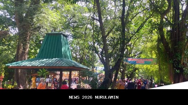 Makanan Singa Jadi Daya Tarik, Pengunjung KBS Capai 16 Ribu Pada Siang Hari Saat Libur Natal