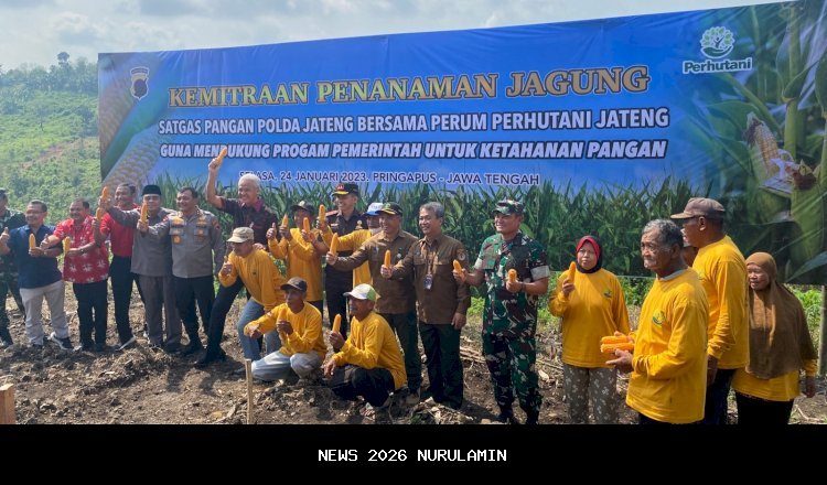 Padi, jagung, dan kedelai melimpah, Jateng percaya diri jadi penyokong pangan nasional