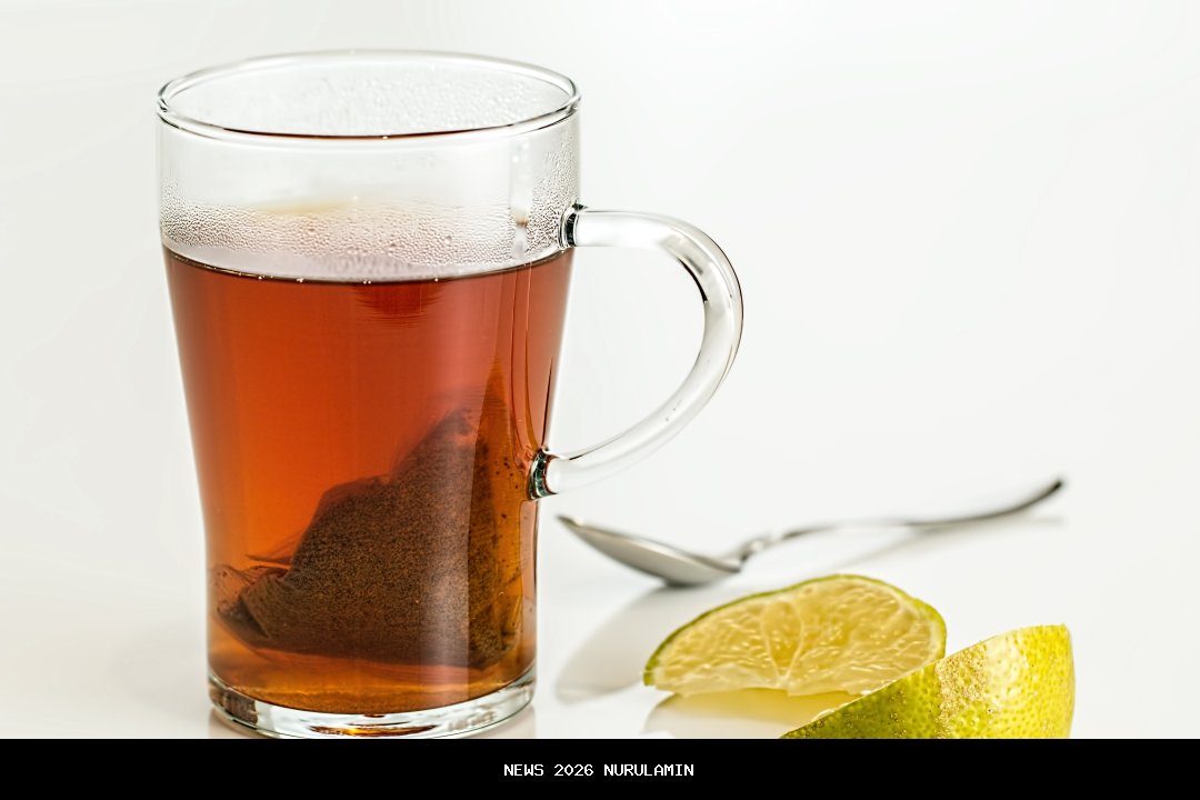 Teh Aanya Minta Mendagri Tindak Lanjuti 10 CDOB dan Aspirasi Jawa Barat