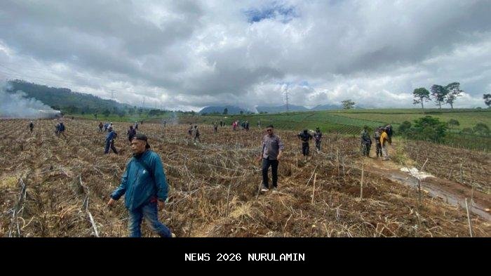 Walhi Jabar Soroti Kerusakan Kebun Teh Pangalengan Seluas 150 Hektare