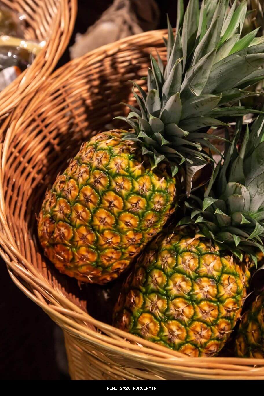 Nanas Bikang Dapat Pengakuan Hukum, Pemkab Bangka Selatan Tingkatkan Daya Saing