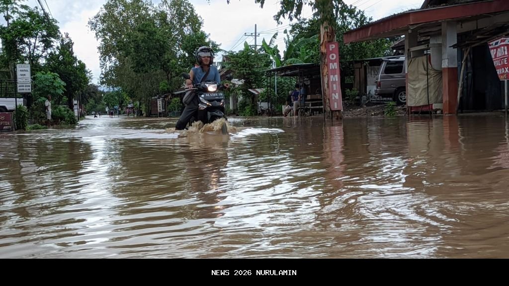 179 Bencana Alam di Ponorogo, Longsor Dominasi 3 Kecamatan, Balong Rawan Banjir