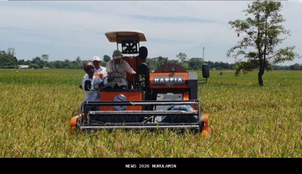 Instruksi Gubernur Bali: Larangan Alih Fungsi Lahan Pertanian untuk Jaga Keseimbangan Alam