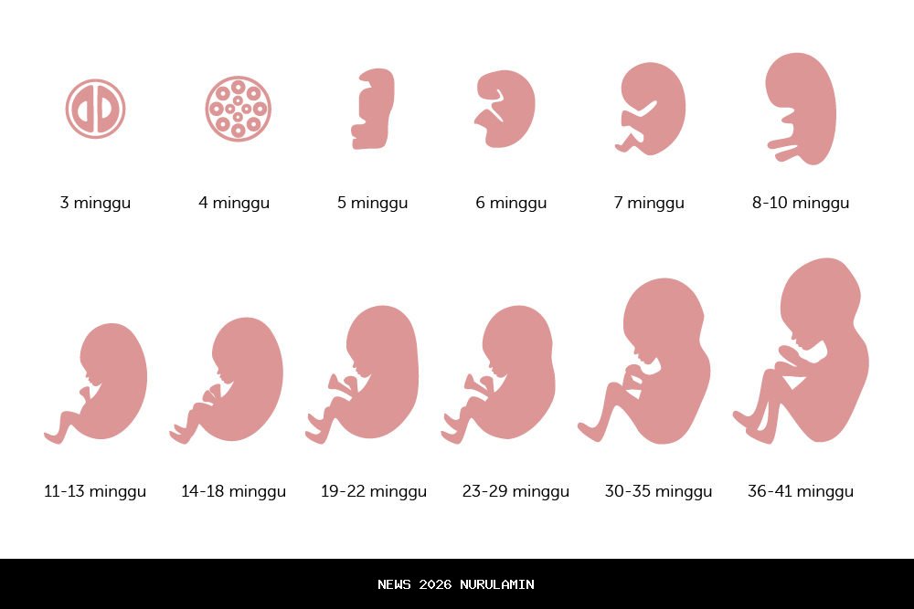 Kandungan, Manfaat, dan Cara Konsumsi Telur Rebus yang Aman!