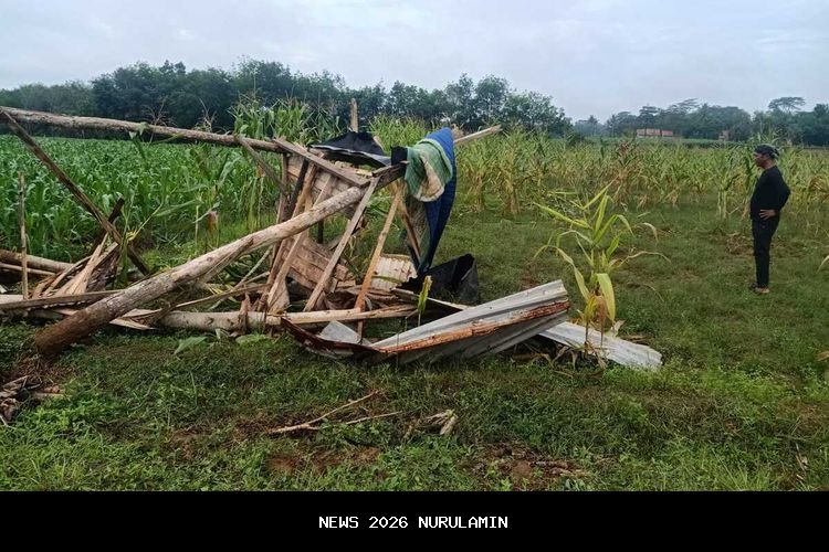 Detik-detik Kades Braja Asri Tewas Saat Mengusir Gajah Liar