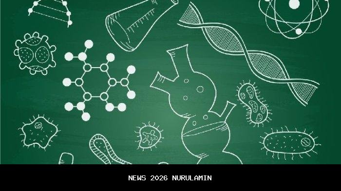 Kunci Jawaban Biologi Kelas 12: Halaman 187–189 Bab Evolusi