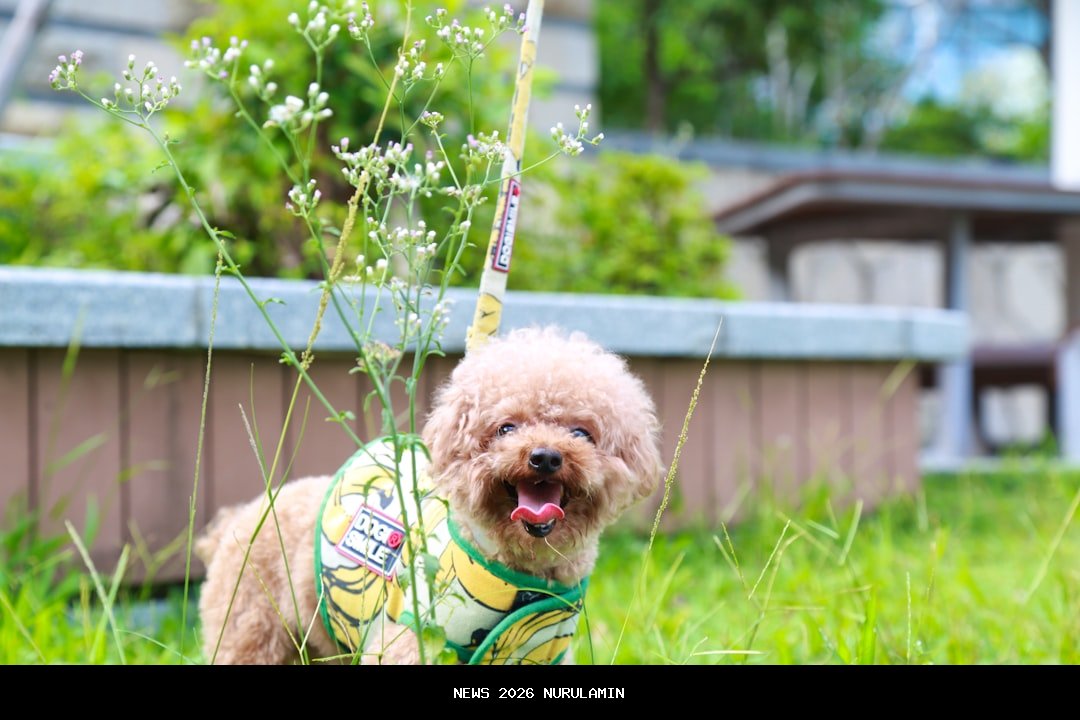 Wakapolri Luncurkan Program Pengaduan Reserse