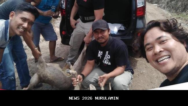 Penggerebekan Pemburu Rusa di Pulau Komodo Diwarnai Kericuhan