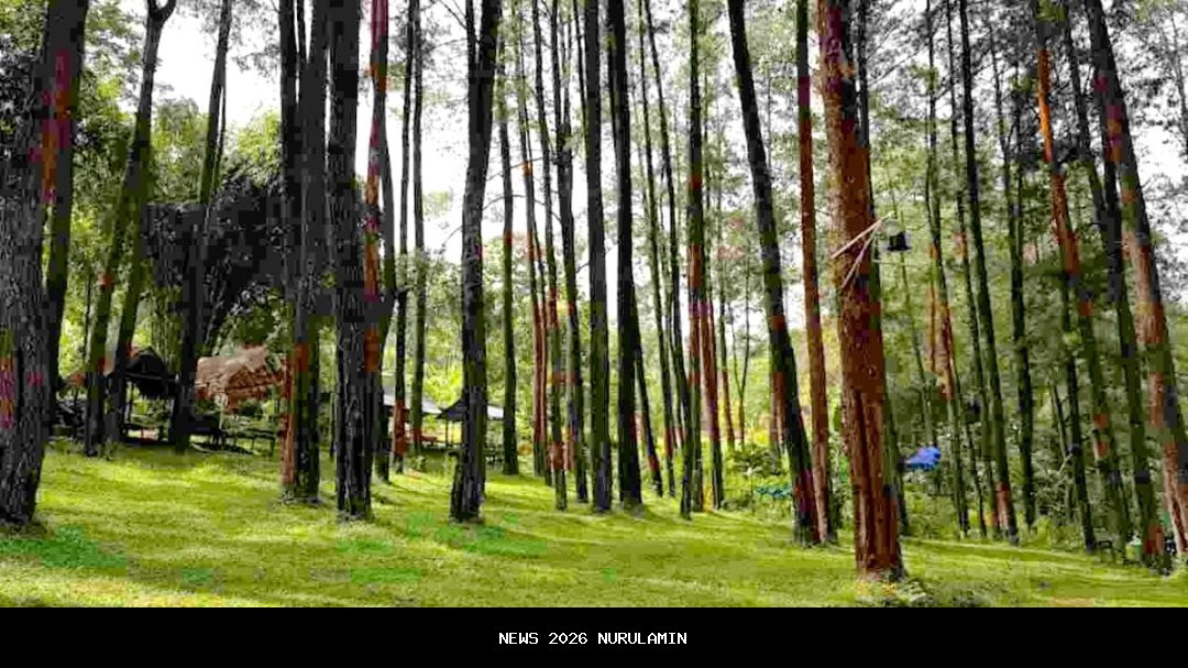 Bangga! Madiun Masuk Daftar Terbaik di Jatim 2025