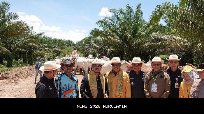 Kalsel Fokus Kembangkan Kelapa dan Susu Kelapa untuk Ekspor 2026–2029