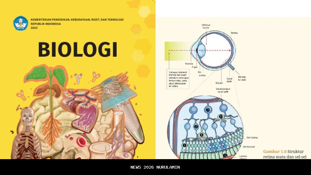 Kunci jawaban biologi kelas 11 halaman 48, kurikulum merdeka: Aktivitas 2.14