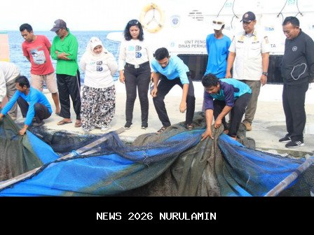 PHE OSES Tanam 3.500 Benih Bandeng di Pulau Kelapa